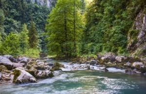 mountain stream