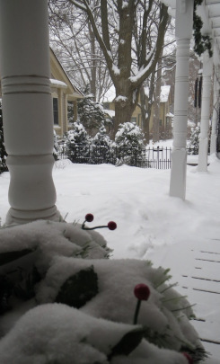 JanuarySnow