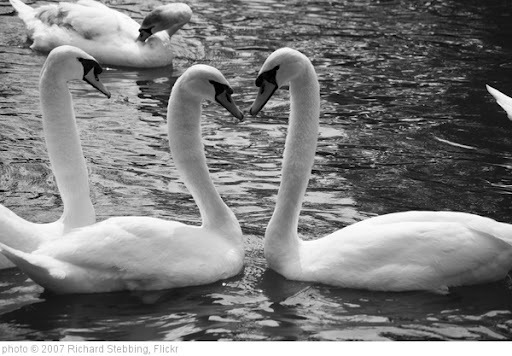 'Love/ Hate' photo (c) 2007, Richard Stebbing - license: http://creativecommons.org/licenses/by-sa/2.0/