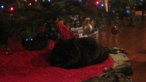 prexmas 001