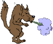 wolf