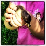 So cute