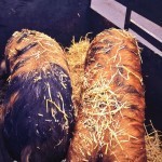 Piggies went to market