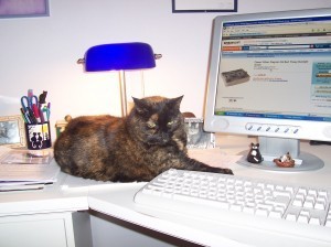 cat_on_desk
