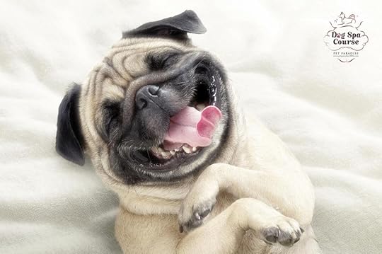  photo wicked4_zps562ca3f7.jpg