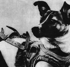 Laika