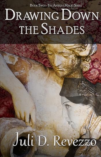 Drawing Down the Shades - Juli D. Revezzo