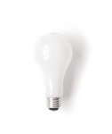 lightbulb