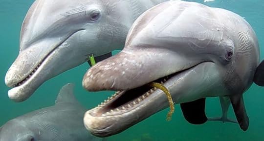 article-2519711-19EBCE3E00000578-334_634x339