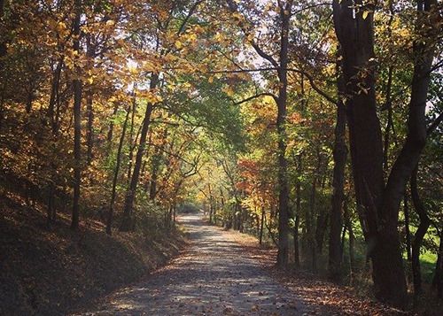 What Does It Mean to Live Intentionally?