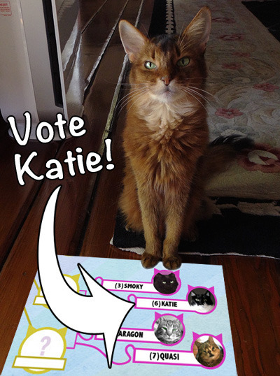 VoteKatie041013a