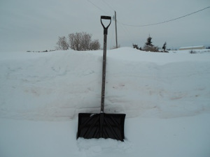 Winter 4