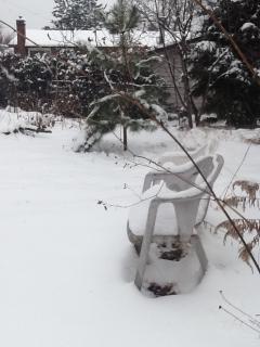 wishful thinking photo 2011-12-25115914.jpg