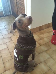 Ralphie, ready to hit the slopes.