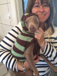 Ralphie - warm ear version.
