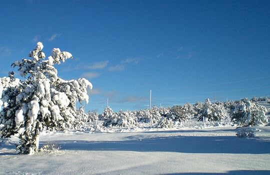 New Year - Fresh Snow - Carol Cox