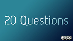 20 Questions 