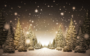 new-yr