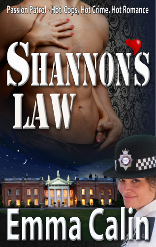 MEDIA KIT Shannon's Law (2)