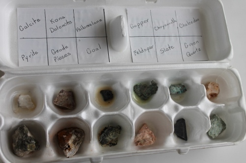 How to Reuse an Egg Carton - Science Fair Projects