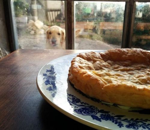 Galette des rois (c) Kristin Espinasse 