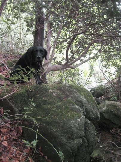 Tilly, May 2012