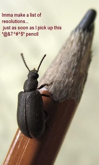 wikimediacommons Mathews Sunny Kunnelpurayidom