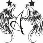 angel wing2