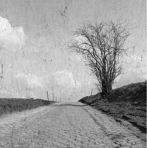 walk_forward_winn_collier_writer