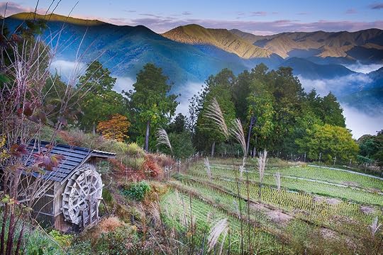 Dawn in the High Fields © Harold Davis
