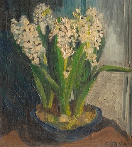 Hyacinths sally ryan