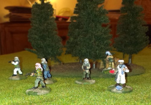 Mujahideen advancing on the forest
