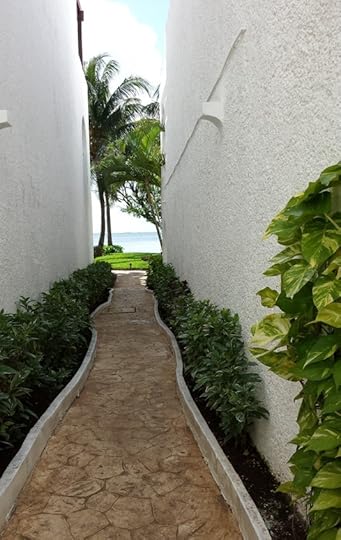 photo, image, path, beach, cancun