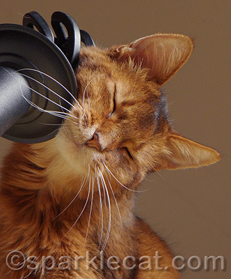 It feels really good - you humans should try it