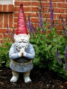 02-Favoite Gnome