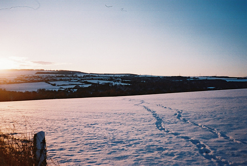 Meandering Footsteps