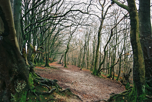 A Slice of Middle Earth