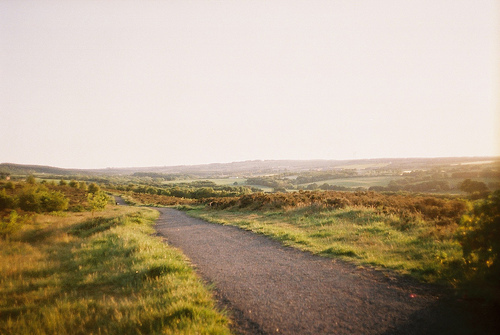 Waldridge Fell Path
