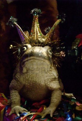 3977691-fairy-tale-romance-kiss-the-frog-perhaps-he-s-the-prince