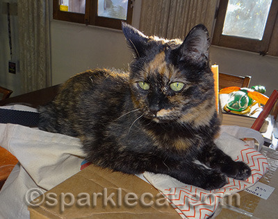 She likes the dining room table because food happens there