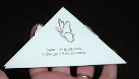 butterfly box