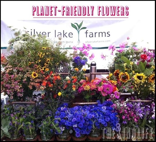 6nNvqnhNr1K76KyKpHrbBUz7.jpeg:Amazon:photo