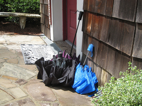 umbrellas roosting outside the Hen House