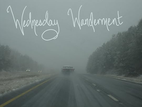 wednesdaywandermentdecember12