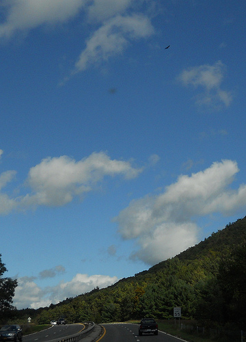 Taconic Parkway