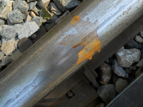 rusty ghost of a leaf