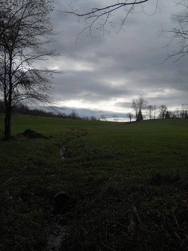 green grass, dark skies