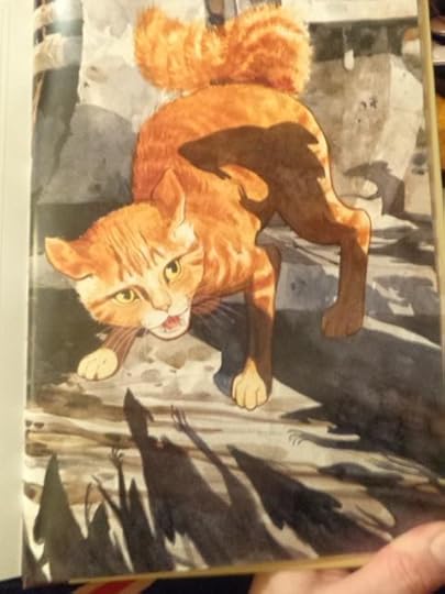  photo DSC03741_zps426ae57f.jpg