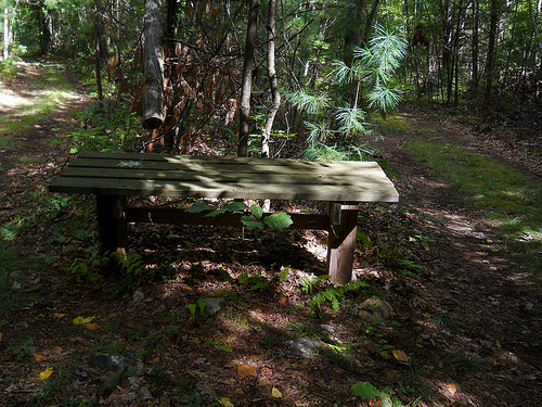 Fairy table