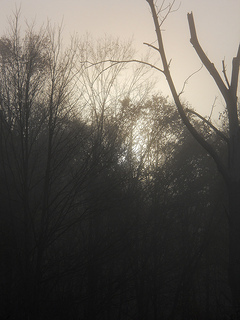 sun on a misty morning